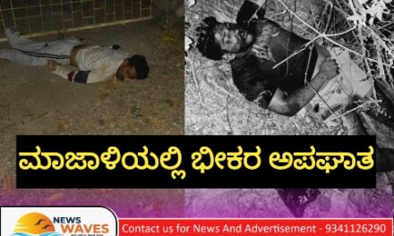ಮಾಜಾಳಿಯಲ್ಲಿ ಭೀಕರ ಅಪಘಾತ; ಇಬ್ಬರು ಗಂಭೀರ