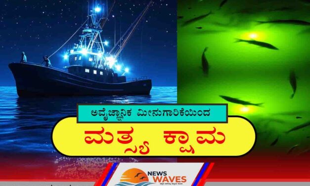 ಕರಾವಳಿಯಲ್ಲಿ ಅವ್ಯಾಹತವಾಗಿ ನಡೆಯುತ್ತಿದೆ ಅವೈಜ್ಞಾನಿಕ ಮೀನುಗಾರಿಕೆ