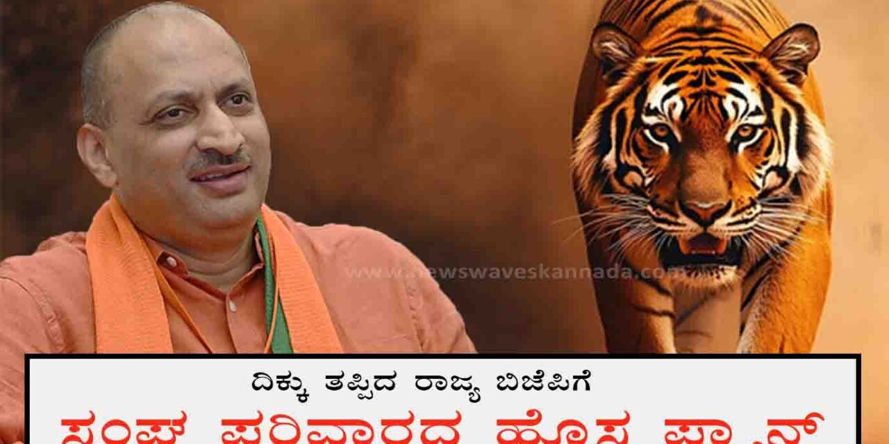 ಫೈರ್‌ ಬ್ರ್ಯಾಂಡ್‌ ಅನಂತಕುಮಾರ್‌ ಮತ್ತೆ ಸಕ್ರಿಯ ರಾಜಕಾರಣಕ್ಕೆ…?