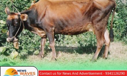 ಎಪ್ರಿಲ್‌ನಲ್ಲಿ ಕಾಲುಬಾಯಿ ರೋಗಕ್ಕೆ ಲಸಿಕೆ