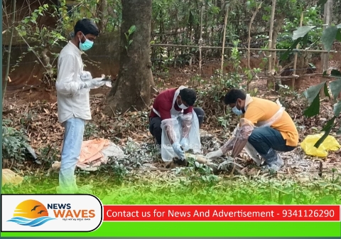 ಹೆಚ್ಚುತ್ತಿರುವ ಮಂಗನಕಾಯಿಲೆ; ಸಿದ್ದಾಪುರದಲ್ಲಿ‌ ಮತ್ತೆರಡು ಪ್ರಕರಣ ಪತ್ತೆ