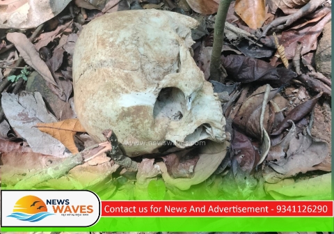 ಕಾಡಿನಲ್ಲಿ ಅಸ್ಥಿಪಂಜರ ಪತ್ತೆ