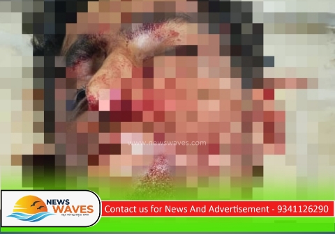 ಕೆಸರೊಳ್ಳಿ ಕ್ರಾಸ್ ಬಳಿ ಅಪಘಾತ: ಬೆಂಗಳೂರಿನ ವಿದ್ಯಾರ್ಥಿ ಸಾವು