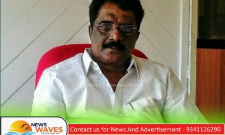 ಯಾರೋ ನೆಟ್ಟ ಮರ ತಾನೇ ನೆಟ್ಟಿದ್ದು ಎನ್ನುವ ರೂಪಾಲಿ ನಾಯ್ಕ; ಶೆಟ್ಟಿ ಟೀಕೆ