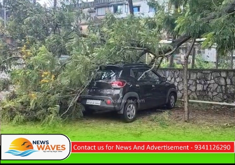 ಕಾರವಾರ | ಬಾರಿ ಗಾಳಿಗೆ ಕಾರಿನ ಮೇಲೆ ಬಿದ್ದ ಮರ, ತಪ್ಪಿದ ಅನಾಹುತ