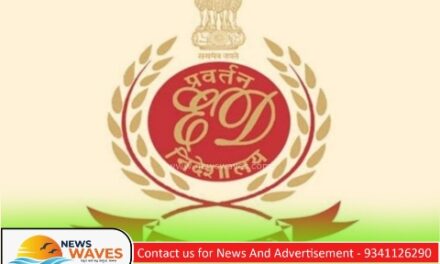 ಅಕ್ರಮ ಅಡಿಕೆ ಸಾಗಣೆ; ನಾಲ್ಕು ರಾಜ್ಯಗಳಲ್ಲಿ ಇಡಿ ದಾಳಿ