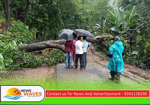ಮರ ಬಿದ್ದು ವಿದ್ಯುತ್‌ ಕಂಬಕ್ಕೆ ಹಾನಿ