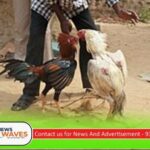 ಹೊನ್ನಾವರ | ಕೋಳಿ ಅಂಕದ ಮೇಲೆ ಪೊಲೀಸ್ ದಾಳಿ
