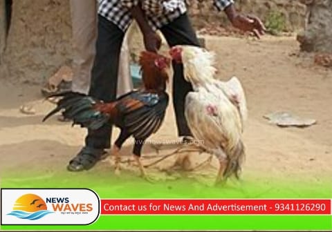 ಹೊನ್ನಾವರ | ಕೋಳಿ ಅಂಕದ ಮೇಲೆ ಪೊಲೀಸ್ ದಾಳಿ
